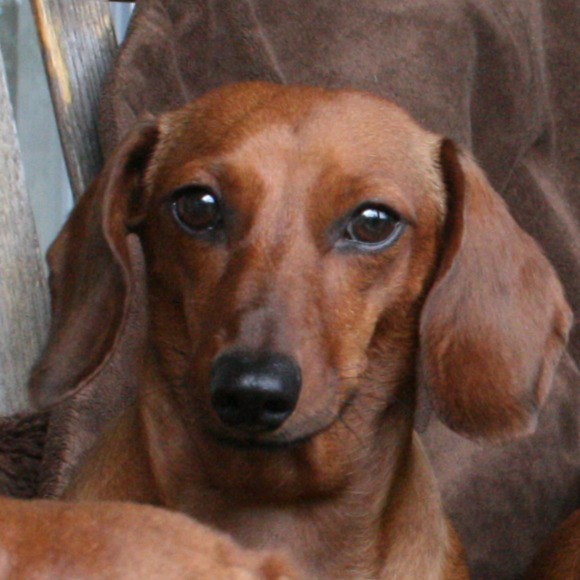 babette123